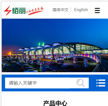 你好，手机端上面的中英文切换的英文不见了，