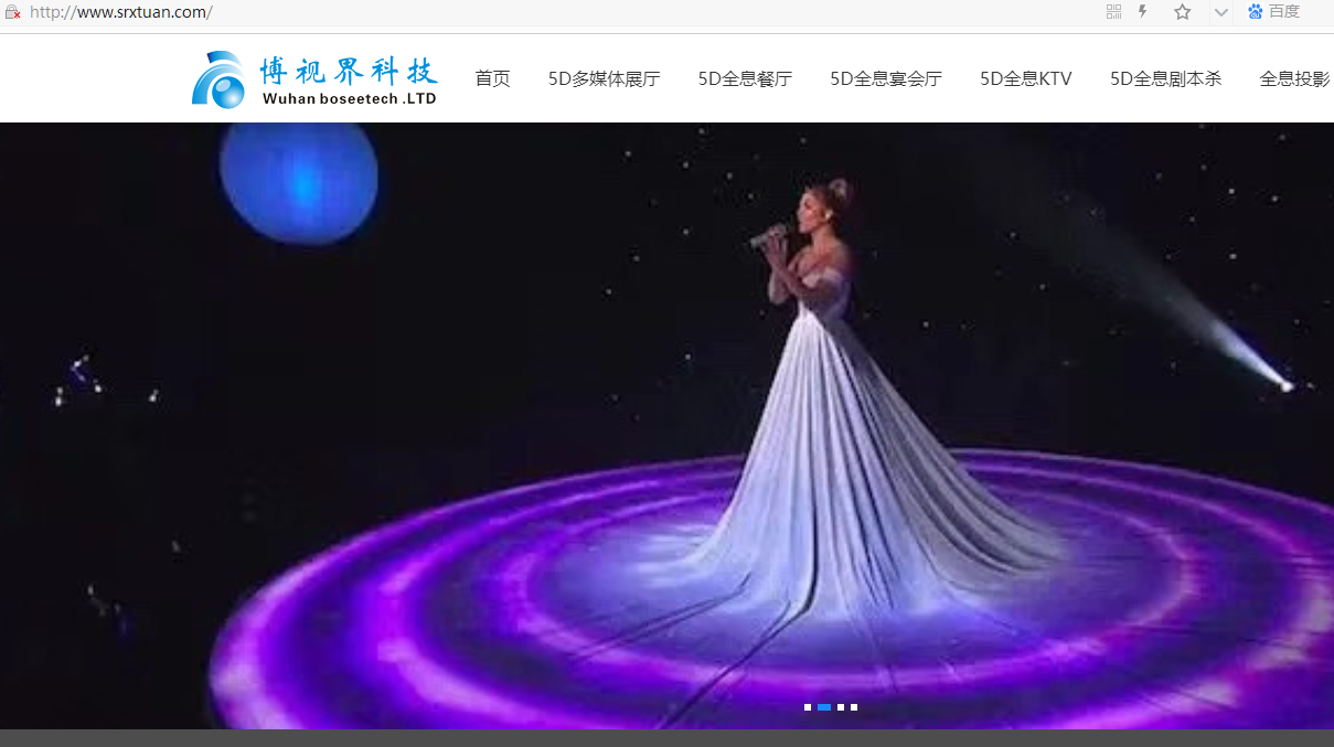 您好 域名解析成功  ping 检测网站从昨天开始一直只有几