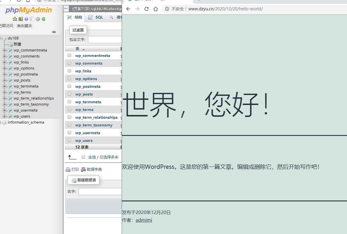 wp 创建数据库都创建不了