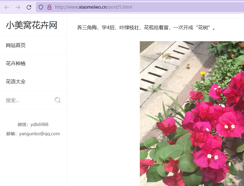 网站有时打不开。或打开慢。是怎么回事？