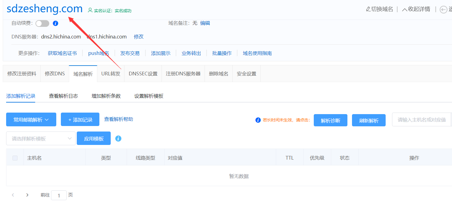 sdzesheng.com域名为何看不到解析记录呢
