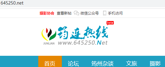 网站打不开了，请帮忙排查一下
