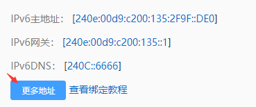 请问赠送的32个ipv6地址在哪里查看和使用？