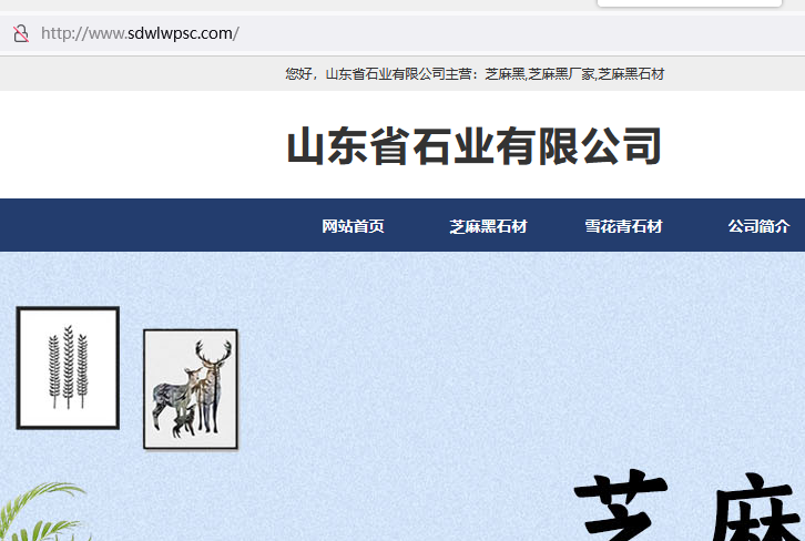 好几个网站打不开，需要速度解决