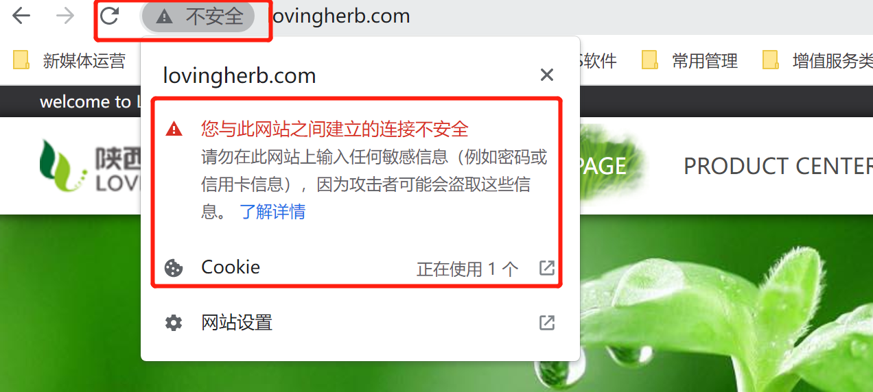 客户问道的网站显示不安全问题