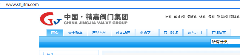 ftph2inonecc.gotoip4.com无法上传无法