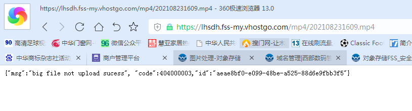 网站打不开或打开缓慢-其他问题