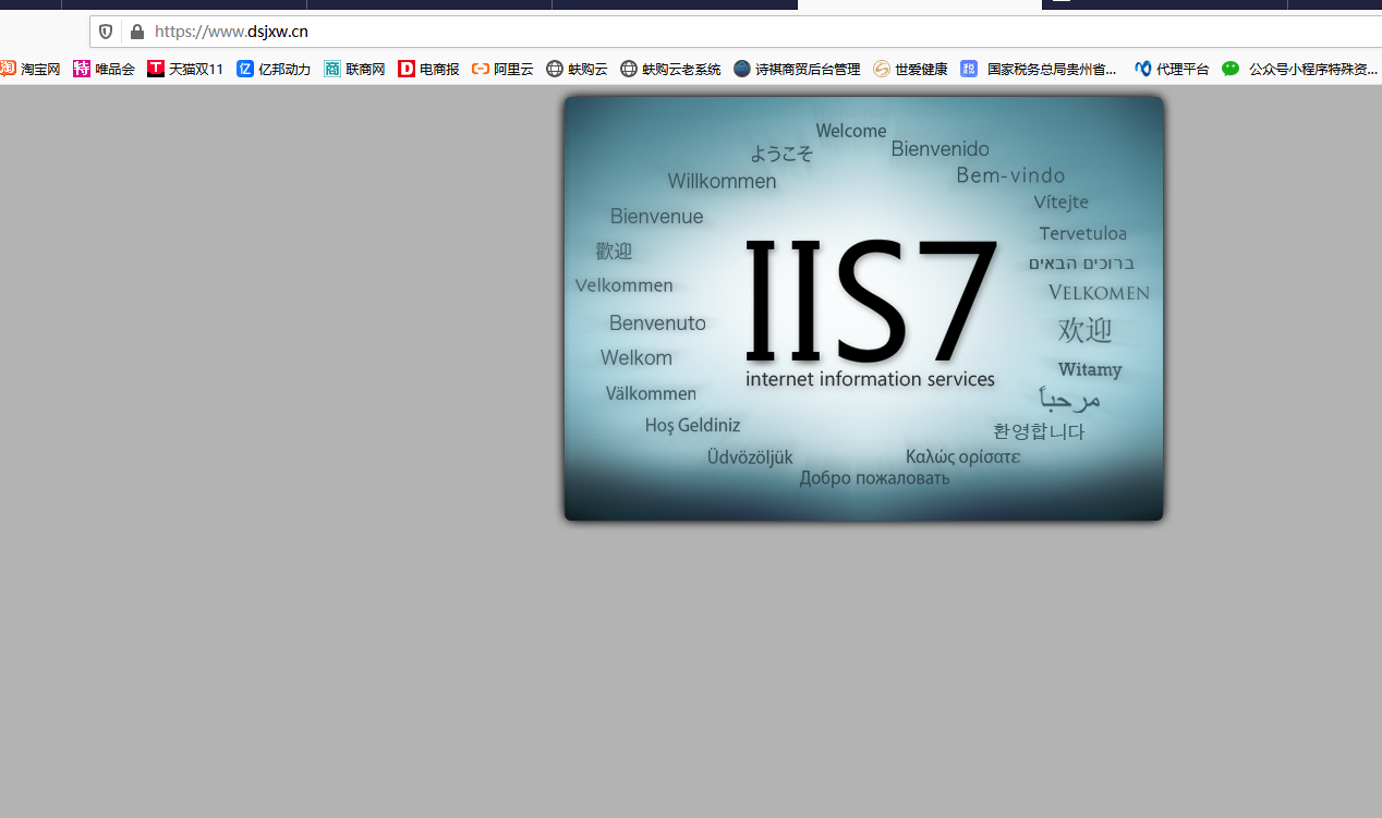 打不开网站，麻烦帮忙检查一下是那里出了问题