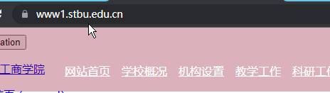 网站最下面明明有放备案号，为什么还要叫放备案号？