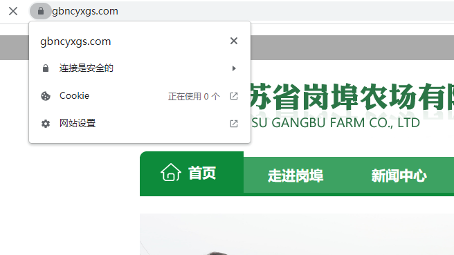 添加设置了ssl证书无法打开