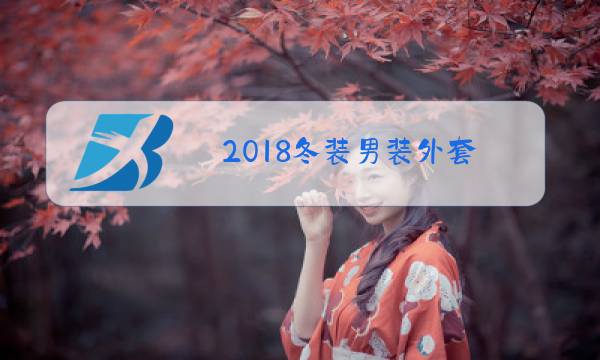 2018冬装男装外套图片