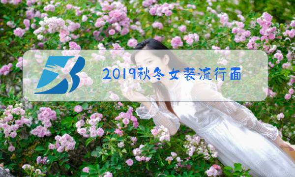 2019秋冬女装流行面料图片