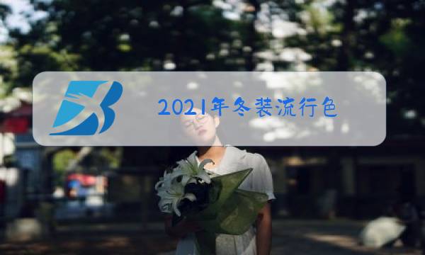 2021年冬装流行色图片