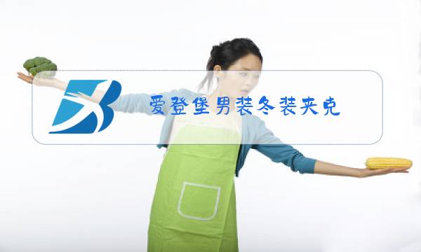 爱登堡男装冬装夹克图片