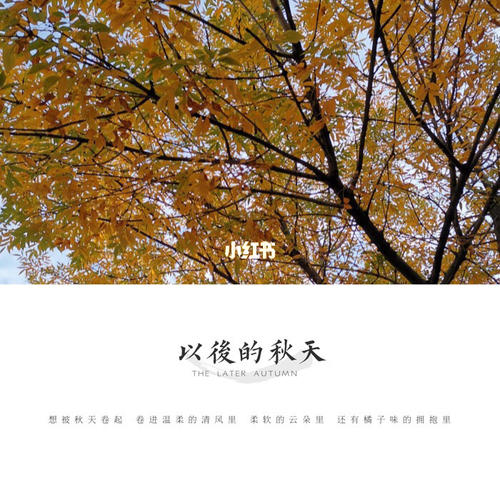 秋天和冬天的服装文案配图