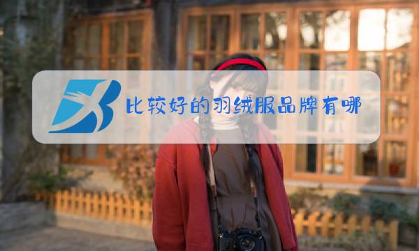 比较好的羽绒服品牌有哪些?图片