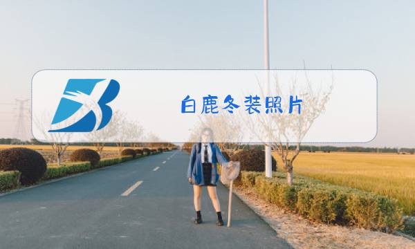 白鹿冬装照片图片