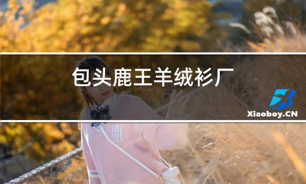 包头鹿王羊绒衫厂图片