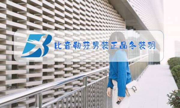 比音勒芬男装正品冬装羽绒服图片