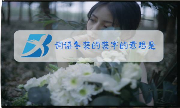 词语冬装的装字的意思是什么图片