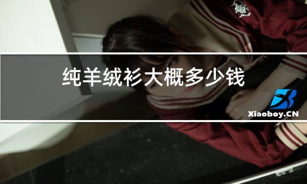 纯羊绒衫大概多少钱图片