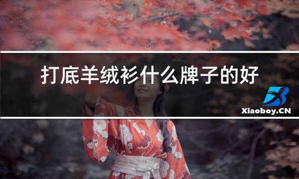 打底羊绒衫什么牌子的好图片