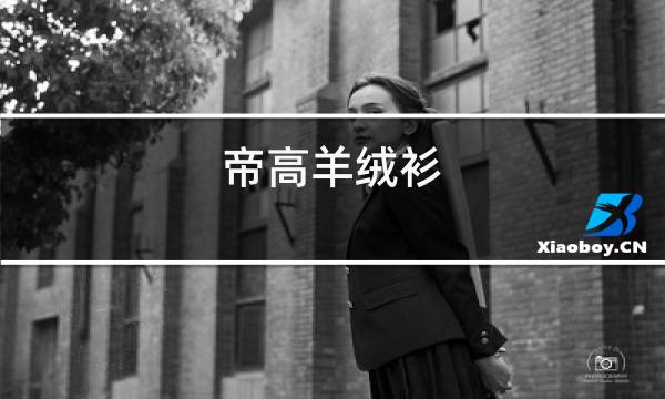 帝高羊绒衫图片