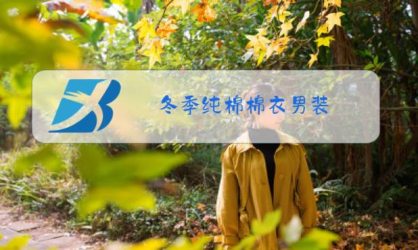 冬季纯棉棉衣男装图片