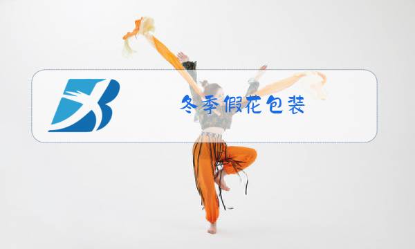 冬季假花包装图片