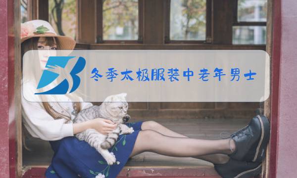 冬季太极服装中老年男士图片