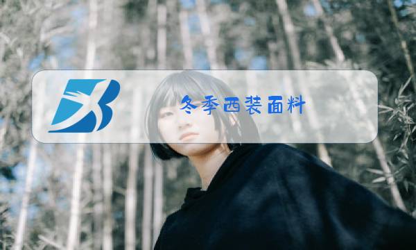 冬季西装面料图片