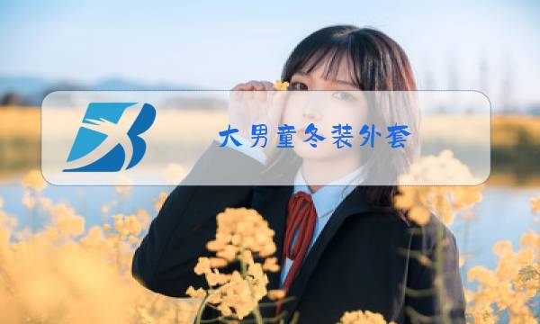大男童冬装外套图片