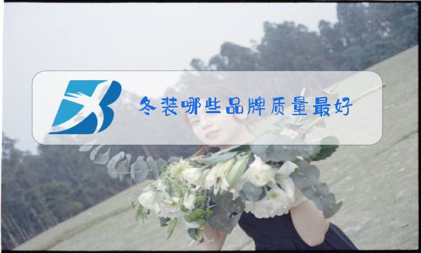 冬装哪些品牌质量最好图片