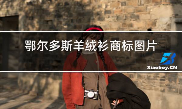鄂尔多斯羊绒衫商标图片图片