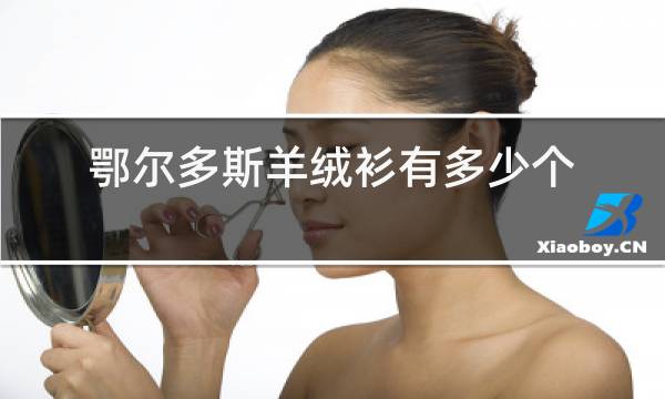 鄂尔多斯羊绒衫有多少个子品牌图片