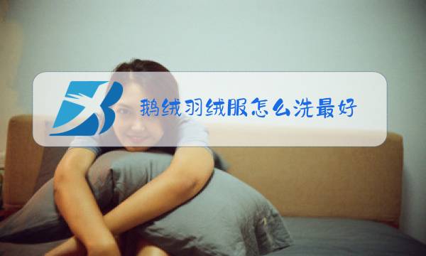 鹅绒羽绒服怎么洗最好图片