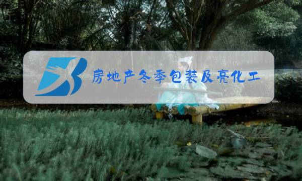 房地产冬季包装及亮化工程清单图片