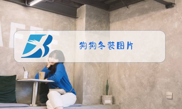 狗狗冬装图片图片