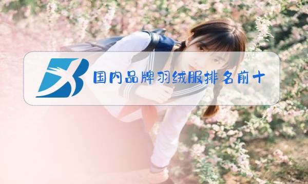 国内品牌羽绒服排名前十图片