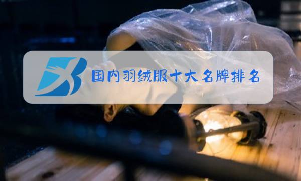 国内羽绒服十大名牌排名图片