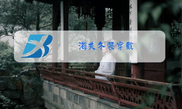 海关冬装穿戴图片
