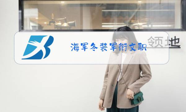 海军冬装军衔文职图片
