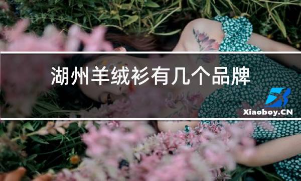 湖州羊绒衫有几个品牌图片