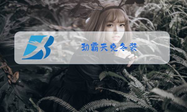 劲霸夹克冬装图片