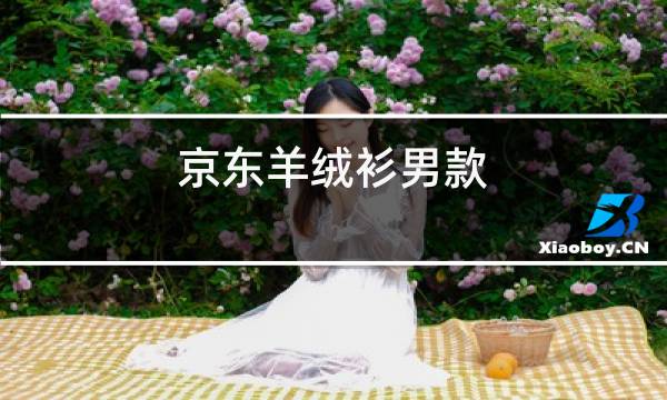 京东羊绒衫男款图片