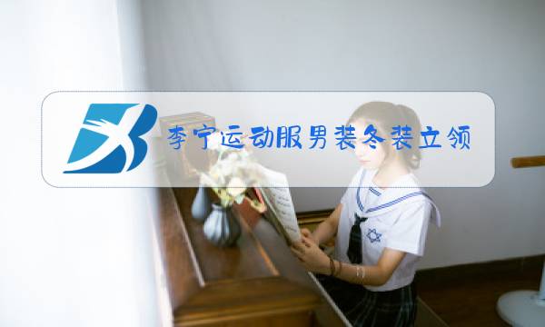李宁运动服男装冬装立领低领图片