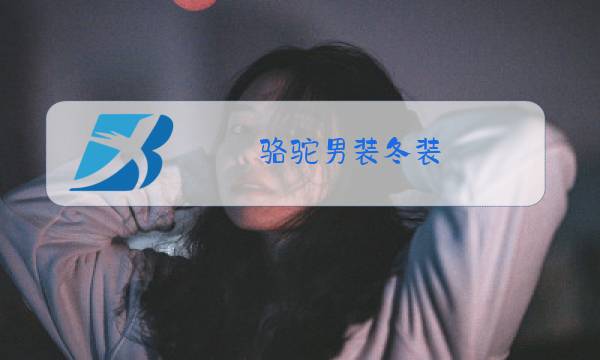 骆驼男装冬装图片