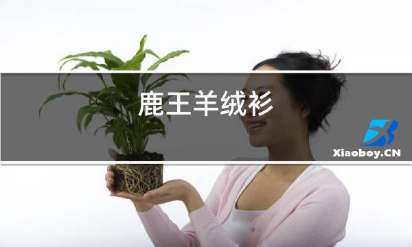 鹿王羊绒衫图片