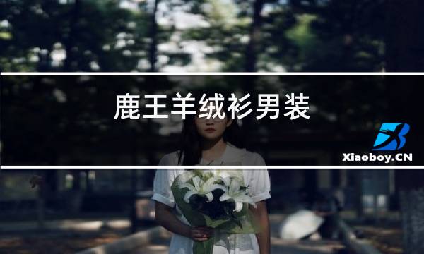 鹿王羊绒衫男装图片