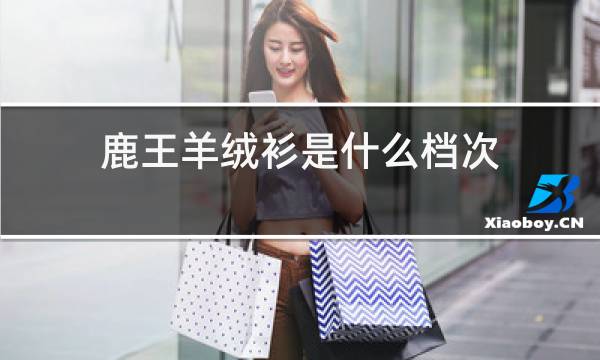 鹿王羊绒衫是什么档次图片